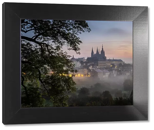 Prague Castle and St. Vitus Cathedral at dawn from Petrin Hill, UNESCO World Heritage Site, Prague, Czechia (Czech Republic), Europe