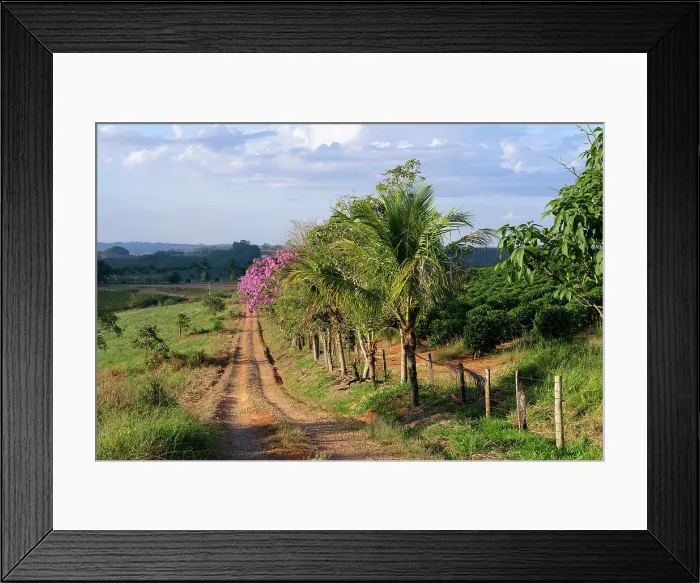 Framed Print : Red soil road, Serra da Canastra landscape, Minas Gerais state, Brazil, South America Framed Print : Red soil road, Serra da Canastra landscape, Minas Gerais state, Brazil, South America