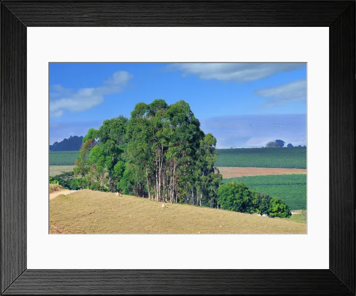 Framed Print : Serra da Canastra landscape, Sao Roque das Minas, Minas Gerais state, Brazil, South America Framed Print : Serra da Canastra landscape, Sao Roque das Minas, Minas Gerais state, Brazil, South America
