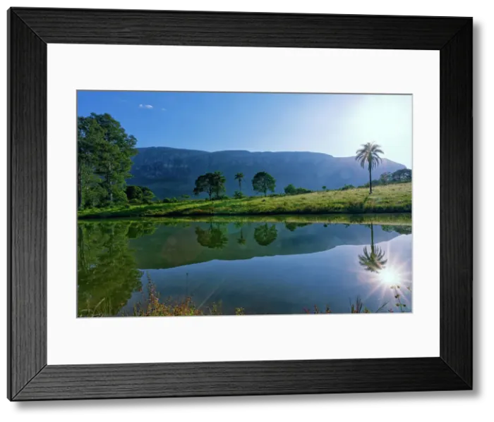 Framed Print : Trees reflecting in a pond, Serra da Canastra, Minas Gerais state, Brazil, South America Framed Print : Trees reflecting in a pond, Serra da Canastra, Minas Gerais state, Brazil, South America