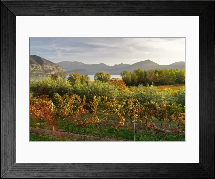 Framed Print : Landscape of Franciacorta region in Brescia province, Lombardy, Italy, Europe Framed Print : Landscape of Franciacorta region in Brescia province, Lombardy, Italy, Europe