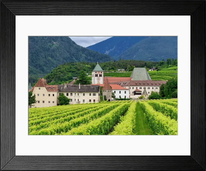Framed Print : Vineyard around Neustift convent, in summer. Neustift Convent, Brixen, South Tyrol, Italy, Europe Framed Print : Vineyard around Neustift convent, in summer. Neustift Convent, Brixen, South Tyrol, Italy, Europe