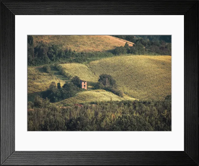Framed Print : An abandoned ruin in the middle of sunflower fields in the Italian countryside, Emilia Romagna, Italy, Europe Framed Print : An abandoned ruin in the middle of sunflower fields in the Italian countryside, Emilia Romagna, Italy, Europe