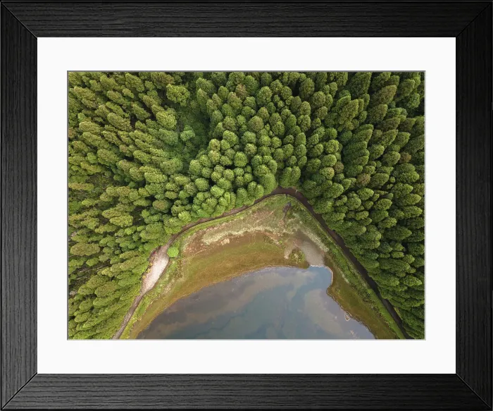 Framed Print : Aerial view of Lagoa Empadadas lake and some pine trees, Sao Miguel island, Azores islands, Portugal, Atlantic, Europe