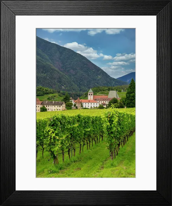 Framed Print : Vineyard around Neustift convent, in summer. Neustift Convent, Brixen, South Tyrol, Italy, Europe Framed Print : Vineyard around Neustift convent, in summer. Neustift Convent, Brixen, South Tyrol, Italy, Europe