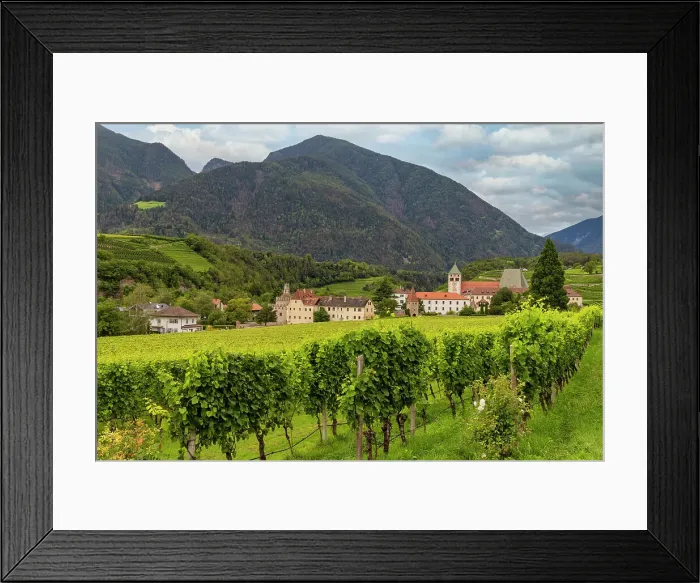 Framed Print : Vineyard around Neustift convent, in summer. Neustift Convent, Brixen, South Tyrol, Italy, Europe Framed Print : Vineyard around Neustift convent, in summer. Neustift Convent, Brixen, South Tyrol, Italy, Europe