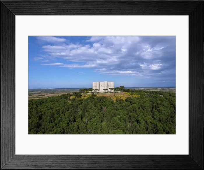 Framed Print : Castel del Monte on top of a hill surrounded by trees, aerial view, UNESCO World Heritage Site, Apulia, South of Italy, Italy, Europe Framed Print : Castel del Monte on top of a hill surrounded by trees, aerial view, UNESCO World Heritage Site, Apulia, South of Italy, Italy, Europe