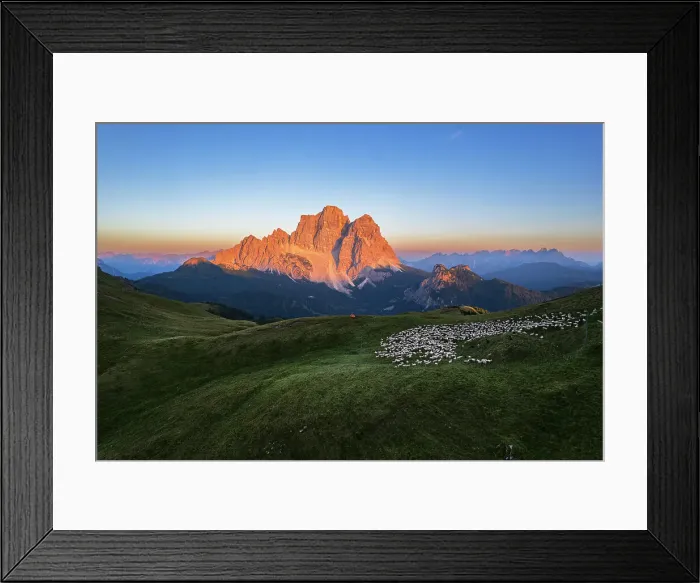 Framed Print : Aerial view of the Conca di Mondeval with a herd of sheep grazing, and the massif of Pelmo mountain lit by the sunset, Giau Pass, Belluno Dolomites, Veneto region, Italy, Europe Framed Print : Aerial view of the Conca di Mondeval with a herd of sheep grazing, and the massif of Pelmo mountain lit by the sunset, Giau Pass, Belluno Dolomites, Veneto region, Italy, Europe