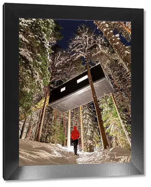 Tourist admires the elevated hotel room capsule shaped among snowy trees in the boreal forest, Swedish Lapland, Harads, Sweden, Scandinavia, Europe