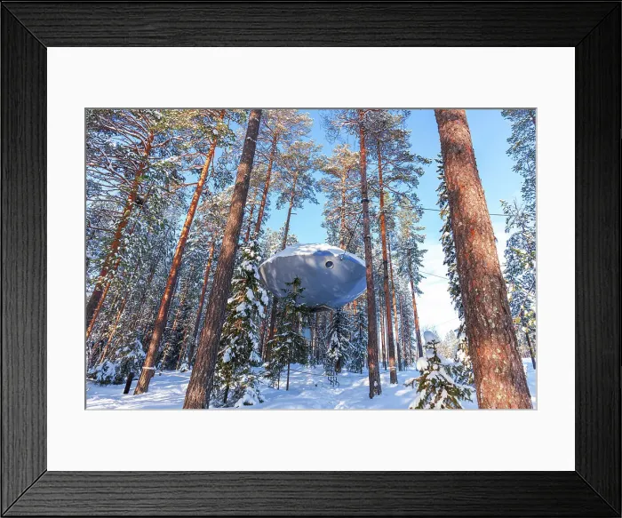 Framed Print : Winter view of UFO shaped room suspended among snow covered tall trees, Tree hotel, Harads, Lapland, Sweden, Scandinavia, Europe Framed Print : Winter view of UFO shaped room suspended among snow covered tall trees, Tree hotel, Harads, Lapland, Sweden, Scandinavia, Europe