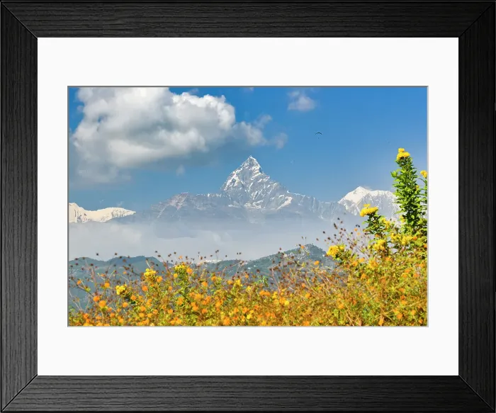 Framed Print : View of the Annapurna peaks from World Peace Stupa, Pokhara, Nepal, Himalayas, Asia Framed Print : View of the Annapurna peaks from World Peace Stupa, Pokhara, Nepal, Himalayas, Asia