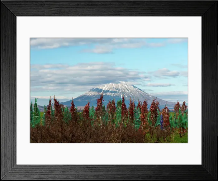 Framed Print : Yotei-zan (Mount Yotei) Volcano of Hokkaido, agricultural scenery in front of the summit, Hokkaido, Japan, Asia Framed Print : Yotei-zan (Mount Yotei) Volcano of Hokkaido, agricultural scenery in front of the summit, Hokkaido, Japan, Asia