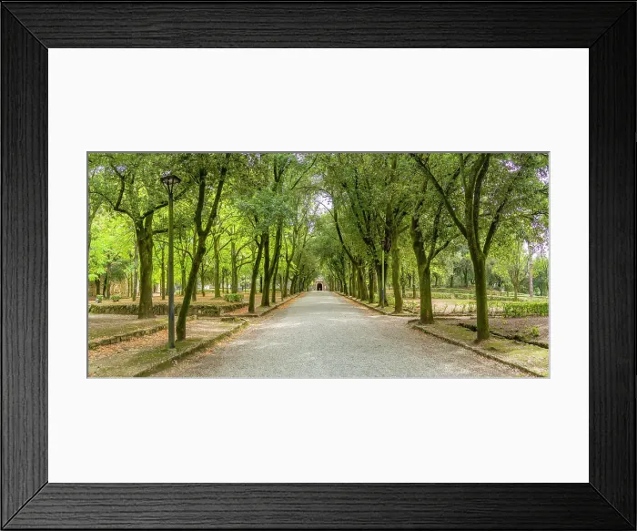 Framed Print : View of Passeggio del Prato, Arezzo, Province of Arezzo, Tuscany, Italy, Europe