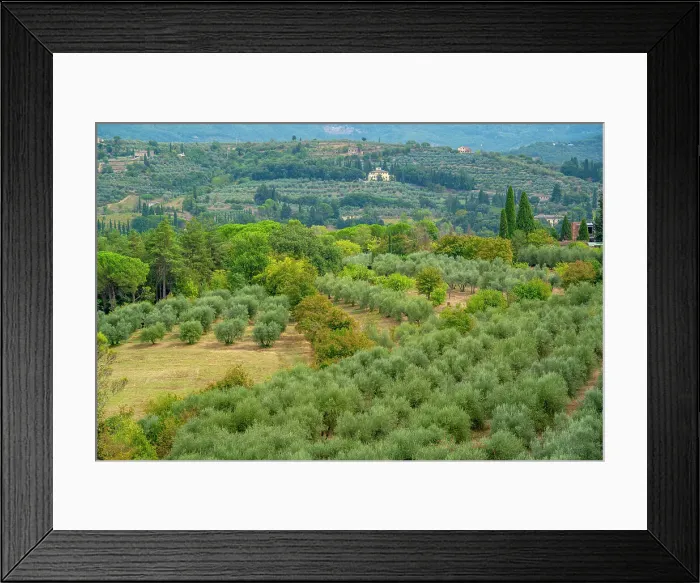 Framed Print : View of Tuscan landscape from Passeggio del Prato, Arezzo, Province of Arezzo, Tuscany, Italy, Europe Framed Print : View of Tuscan landscape from Passeggio del Prato, Arezzo, Province of Arezzo, Tuscany, Italy, Europe