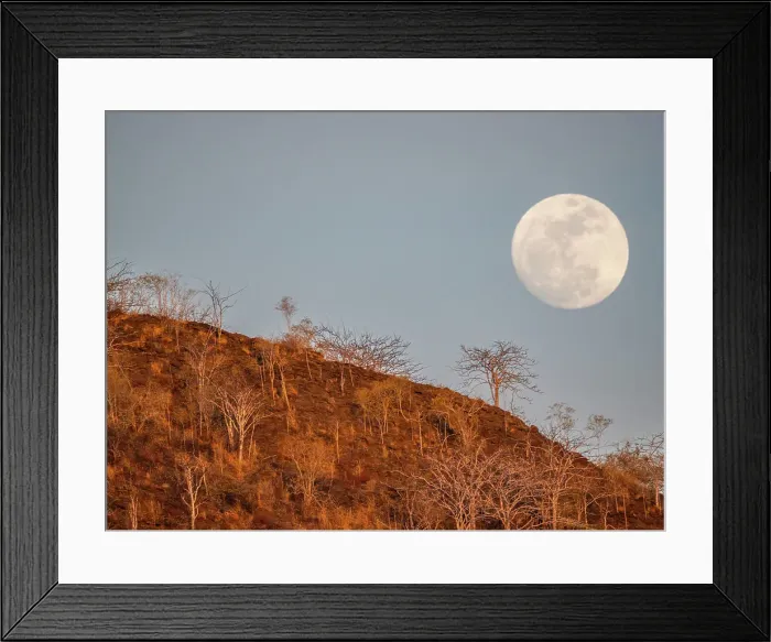 Framed Print : Super blue full moon rising in the east in Urbina Bay, Galapagos Islands, UNESCO World Heritage Site, Ecuador, South America Framed Print : Super blue full moon rising in the east in Urbina Bay, Galapagos Islands, UNESCO World Heritage Site, Ecuador, South America