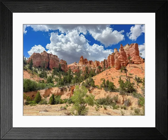 Framed Print : A view from the Mossy Cave Trail of red rock and hoodoos, Bryce Canyon National Park, Utah, United States of America, North America