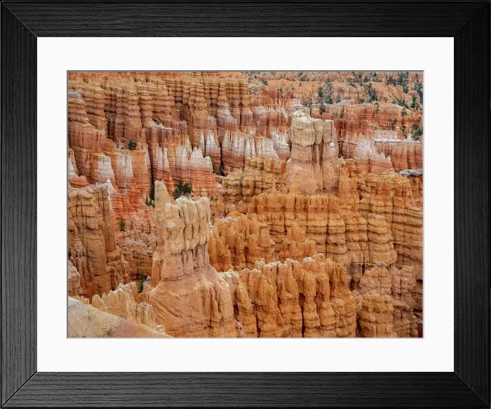 Framed Print : Red rock formations known as hoodoos in Bryce Canyon National Park, Utah, United States of America, North America Framed Print : Red rock formations known as hoodoos in Bryce Canyon National Park, Utah, United States of America, North America