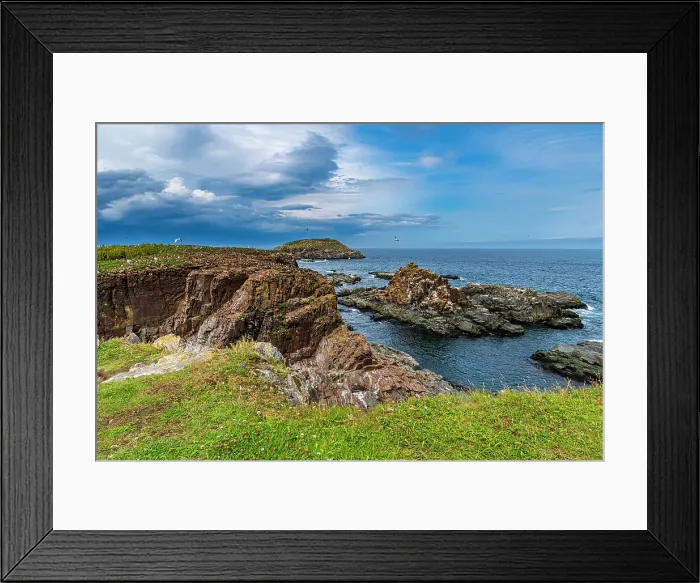 Framed Print : Puffin bird viewing site in Elliston, Bonavista Peninsula, Newfoundland, Canada, North America Framed Print : Puffin bird viewing site in Elliston, Bonavista Peninsula, Newfoundland, Canada, North America