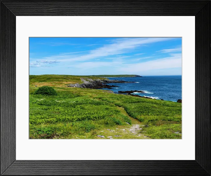 Framed Print : Coastline of Mistaken Point, UNESCO World Heritage Site, Avalon Peninsula, Newfoundland, Canada, North America Framed Print : Coastline of Mistaken Point, UNESCO World Heritage Site, Avalon Peninsula, Newfoundland, Canada, North America