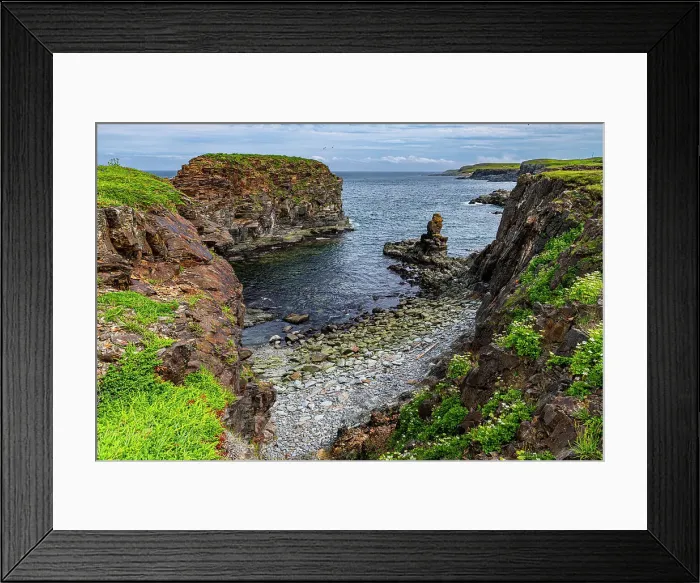 Framed Print : Puffin bird viewing site in Elliston, Bonavista Peninsula, Newfoundland, Canada, North America Framed Print : Puffin bird viewing site in Elliston, Bonavista Peninsula, Newfoundland, Canada, North America
