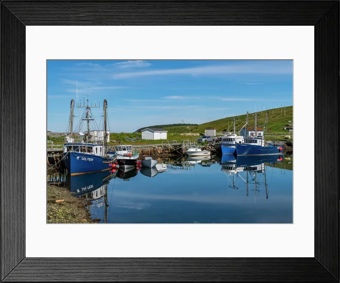 Framed Print : Ferryland harbour, Avalon Peninsula, Newfoundland, Canada, North America Framed Print : Ferryland harbour, Avalon Peninsula, Newfoundland, Canada, North America