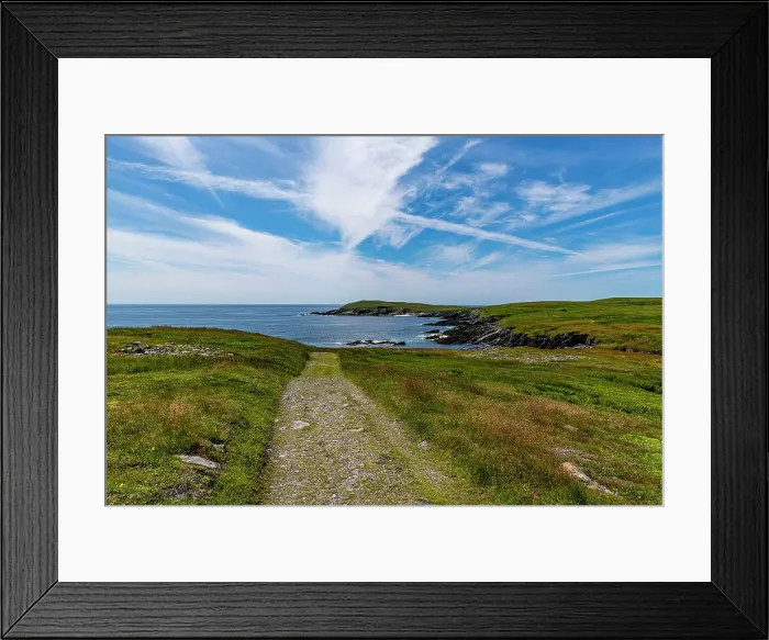 Framed Print : Track leading to Mistaken Point, UNESCO World Heritage Site, Avalon Peninsula, Newfoundland, Canada, North America Framed Print : Track leading to Mistaken Point, UNESCO World Heritage Site, Avalon Peninsula, Newfoundland, Canada, North America