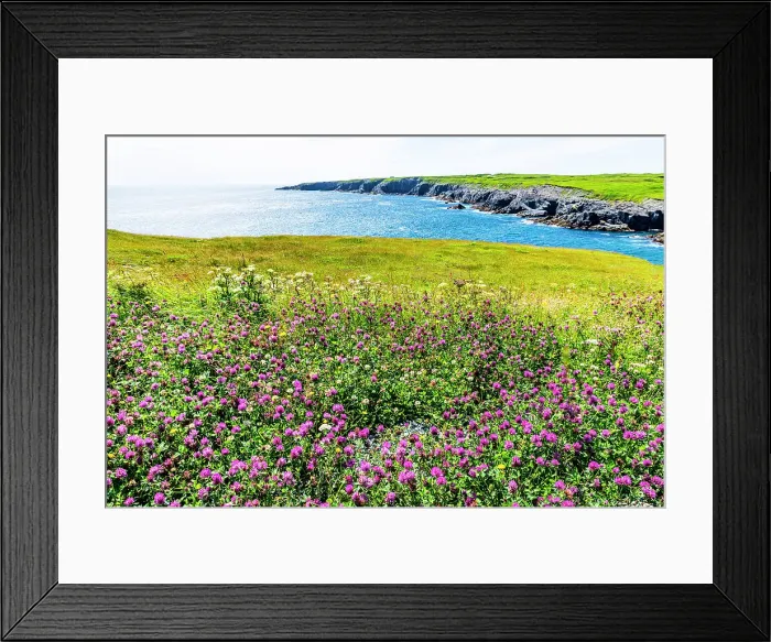 Framed Print : Wilderness area, Mistaken Point, UNESCO World Heritage Site, Avalon Peninsula, Newfoundland, Canada, North America Framed Print : Wilderness area, Mistaken Point, UNESCO World Heritage Site, Avalon Peninsula, Newfoundland, Canada, North America