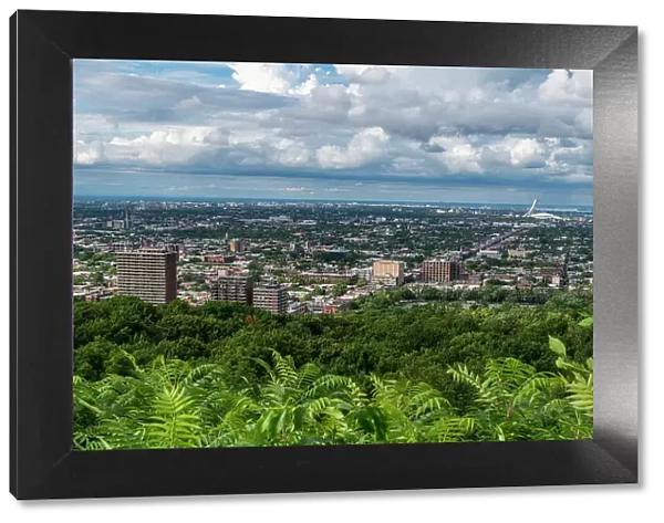 View over Montreal from Mont Royal, Montreal, Quebec, Canada, North America