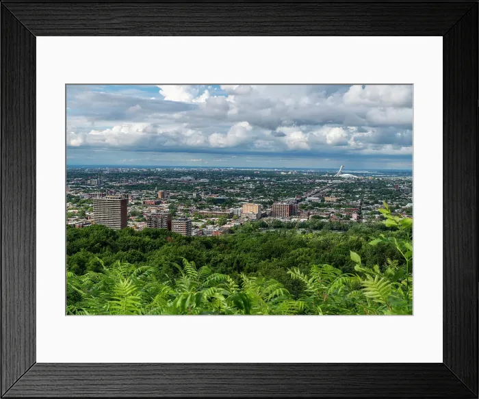 Framed Print : View over Montreal from Mont Royal, Montreal, Quebec, Canada, North America Framed Print : View over Montreal from Mont Royal, Montreal, Quebec, Canada, North America