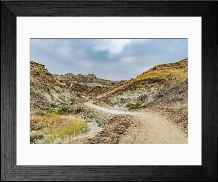 Framed Print : Eroded landscape in the Dinosaur Provincial Park, UNESCO World Heritage Site, Alberta, Canada, North America Framed Print : Eroded landscape in the Dinosaur Provincial Park, UNESCO World Heritage Site, Alberta, Canada, North America