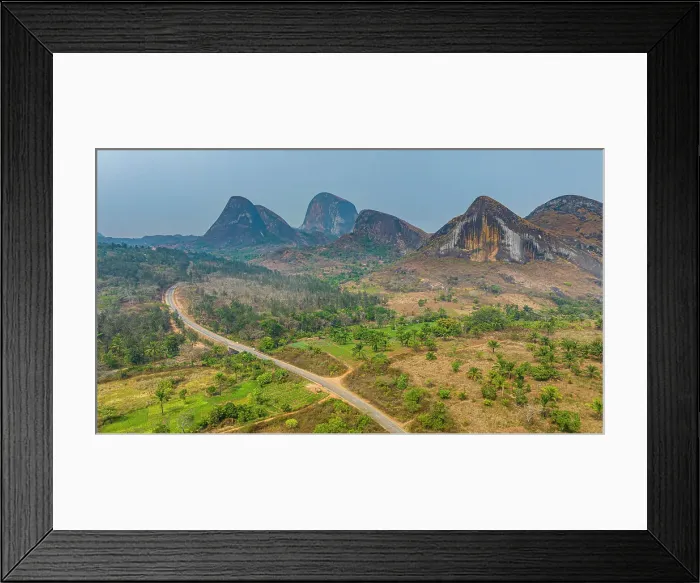 Framed Print : Conda, Kumbira Forest Reserve, Kwanza Sul, Angola, Africa Framed Print : Conda, Kumbira Forest Reserve, Kwanza Sul, Angola, Africa