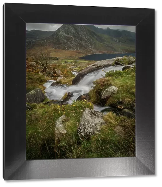 Stream and Tryfan Mountain, Ogwen Valley, Snowdonia, Wales, United Kingdom, Europe