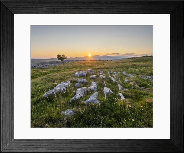 Framed Print : Limestone pavement and lone Hawthorn tree in evening sunlight, Winskill Stones Nature Reserve, Stainforth, Yorkshire Dales National Park, Yorkshire, England, United Kingdom, Europe Framed Print : Limestone pavement and lone Hawthorn tree in evening sunlight, Winskill Stones Nature Reserve, Stainforth, Yorkshire Dales National Park, Yorkshire, England, United Kingdom, Europe