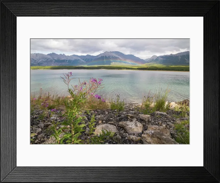 Framed Print : A rainbow arcs over Kananaskis Lakes and wild fireweed in Summer, Canadian Rockies, Alberta, Canada, North America Framed Print : A rainbow arcs over Kananaskis Lakes and wild fireweed in Summer, Canadian Rockies, Alberta, Canada, North America