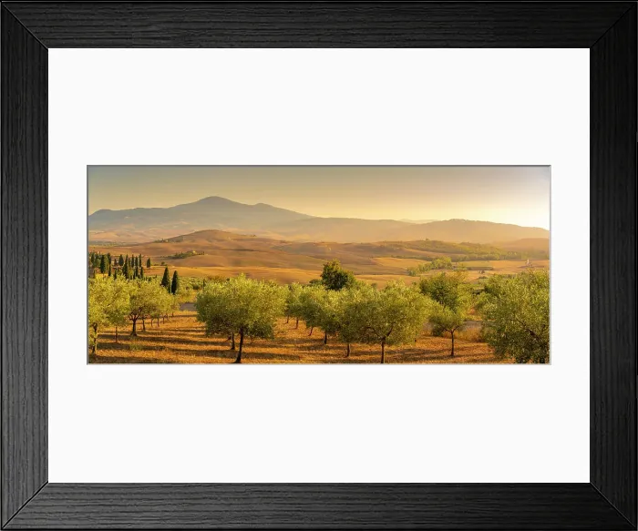 Framed Print : View of golden Tuscan landscape near Pienza, Pienza, Province of Siena, Tuscany, Italy, Europe Framed Print : View of golden Tuscan landscape near Pienza, Pienza, Province of Siena, Tuscany, Italy, Europe