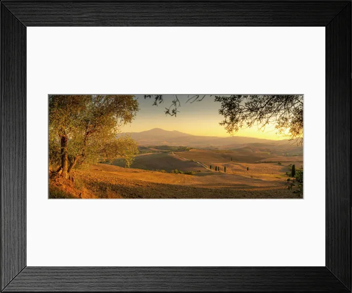 Framed Print : View of golden Tuscan landscape near Pienza, Pienza, Province of Siena, Tuscany, Italy, Europe Framed Print : View of golden Tuscan landscape near Pienza, Pienza, Province of Siena, Tuscany, Italy, Europe