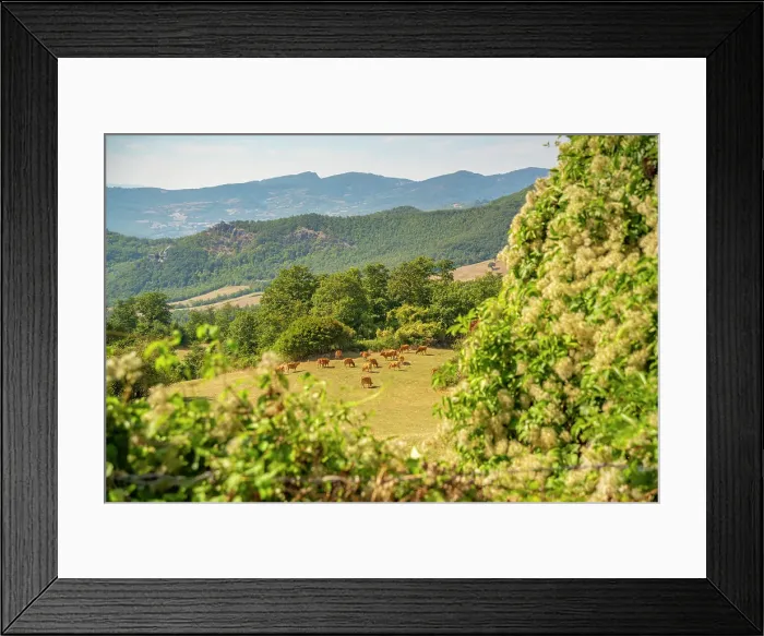 Framed Print : View of woodland and countryside near Pennabilli, Province of San Rimini, Emilia-Romagna, Italy, Europe Framed Print : View of woodland and countryside near Pennabilli, Province of San Rimini, Emilia-Romagna, Italy, Europe