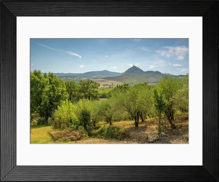 Framed Print : View of olive trees and countryside towards San Leo, Province of San Rimini, Emilia-Romagna, Italy, Europe Framed Print : View of olive trees and countryside towards San Leo, Province of San Rimini, Emilia-Romagna, Italy, Europe