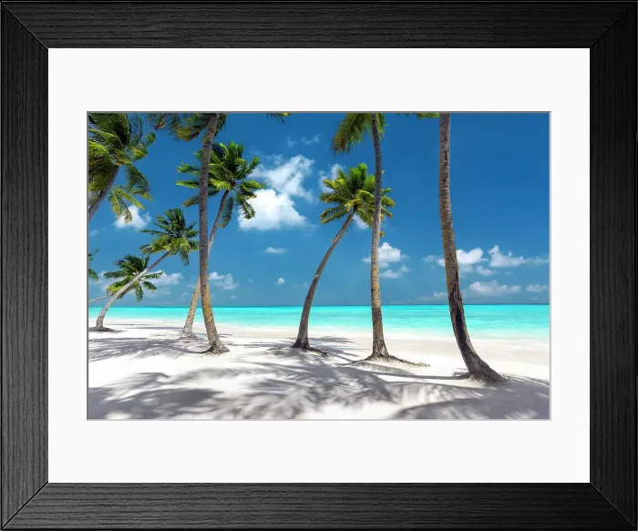 Framed Print : Maldives beach, palm trees on white sandy beach, The Maldives, Indian Ocean, Asia Framed Print : Maldives beach, palm trees on white sandy beach, The Maldives, Indian Ocean, Asia