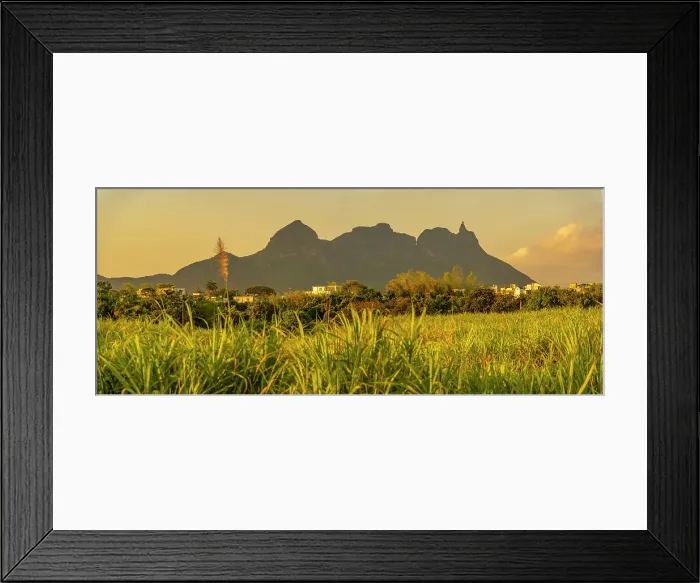 Framed Print : View of farmland and mountains near Quatre Bornes, Mauritius, Indian Ocean, Africa Framed Print : View of farmland and mountains near Quatre Bornes, Mauritius, Indian Ocean, Africa