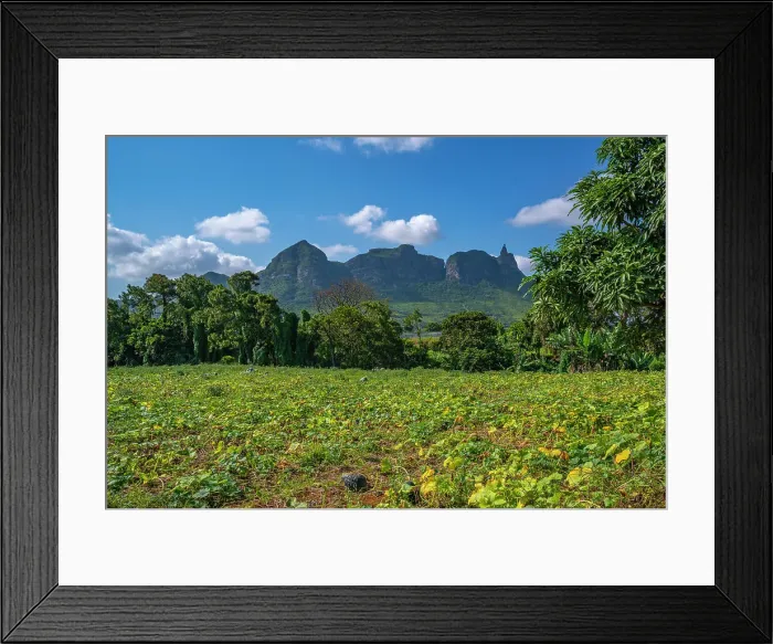 Framed Print : View of farm land and mountains from near Ripailles, Mauritius, Indian Ocean, Africa Framed Print : View of farm land and mountains from near Ripailles, Mauritius, Indian Ocean, Africa
