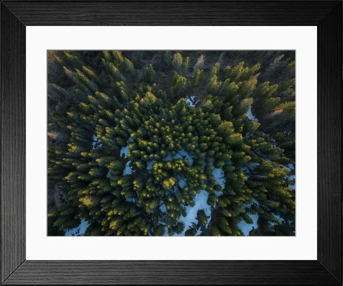 Framed Print : Aerial of forest landscape near Nucsoara, Arges County, Muntenia, Romania, Europe Framed Print : Aerial of forest landscape near Nucsoara, Arges County, Muntenia, Romania, Europe