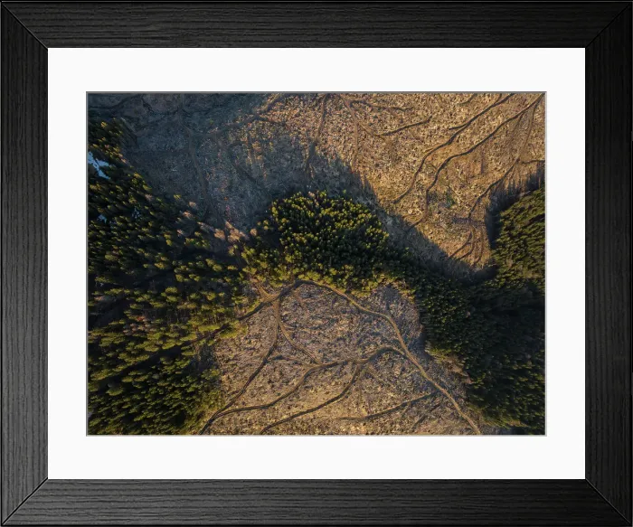 Framed Print : Aerial of forest landscape near Nucsoara, Arges County, Muntenia, Romania, Europe Framed Print : Aerial of forest landscape near Nucsoara, Arges County, Muntenia, Romania, Europe