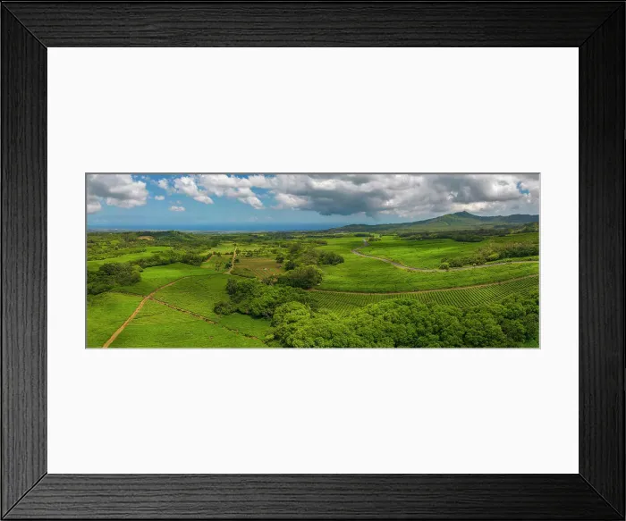 Framed Print : Aerial view of tea plantation near Bois Cheri Tea Factory, Mauritius, Indian Ocean, Africa Framed Print : Aerial view of tea plantation near Bois Cheri Tea Factory, Mauritius, Indian Ocean, Africa