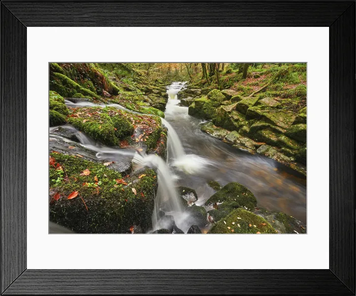 Framed Print : The River Erne flowing fast through autumnal ancient forest, Dartmoor National Park, near Ivybridge, Devon, England, United Kingdom, Europe Framed Print : The River Erne flowing fast through autumnal ancient forest, Dartmoor National Park, near Ivybridge, Devon, England, United Kingdom, Europe