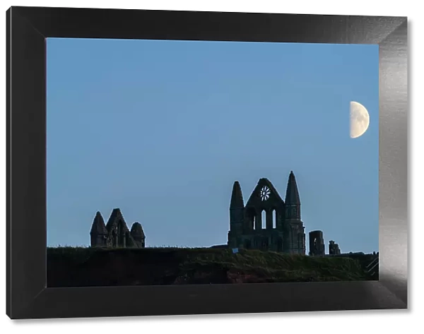 Half moon rising over Whitby Abbey in mid-October 2023, North Yorkshire coast, Whitby, Yorkshire, England, United Kingdom, Europe