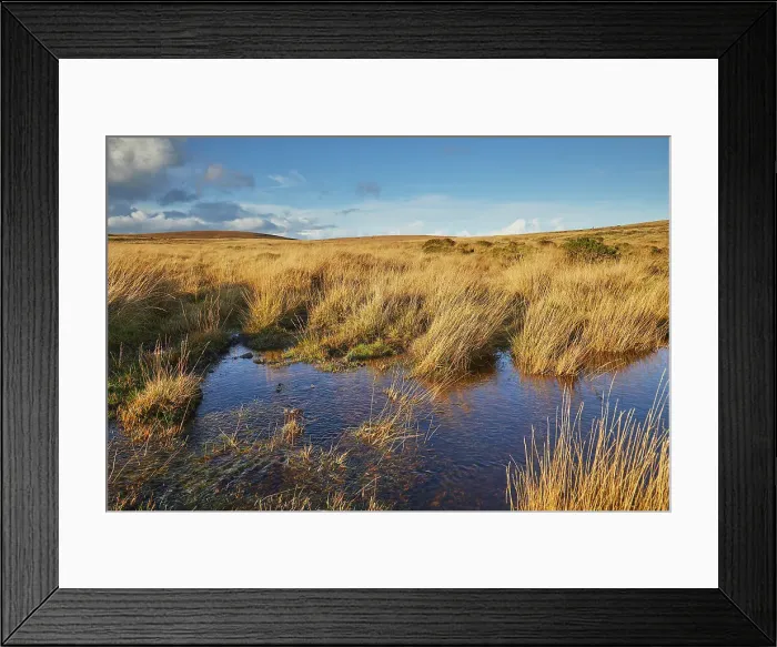 Framed Print : Autumn across the marshy open moors of Dartmoor; Gidleigh Common, near Chagford, Dartmoor National Park, Devon, England, United Kingdom, Europe Framed Print : Autumn across the marshy open moors of Dartmoor; Gidleigh Common, near Chagford, Dartmoor National Park, Devon, England, United Kingdom, Europe