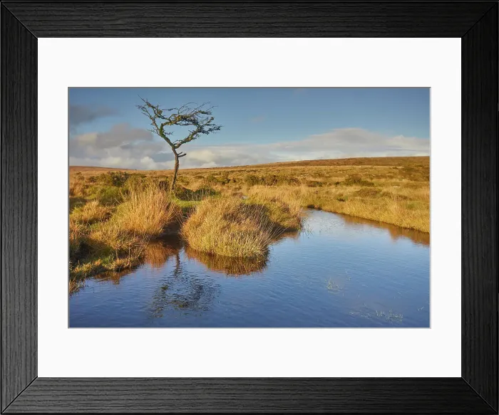 Framed Print : Autumn across the marshy open moors of Dartmoor, Gidleigh Common, near Chagford, Dartmoor National Park, Devon, England, United Kingdom, Europe Framed Print : Autumn across the marshy open moors of Dartmoor, Gidleigh Common, near Chagford, Dartmoor National Park, Devon, England, United Kingdom, Europe