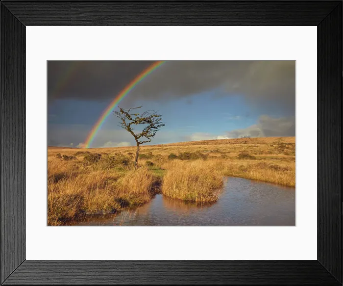 Framed Print : A rainbow arches across the marshy open moors of Dartmoor in autumn, Gidleigh Common, near Chagford, Dartmoor National Park, Devon, England, United Kingdom, Europe Framed Print : A rainbow arches across the marshy open moors of Dartmoor in autumn, Gidleigh Common, near Chagford, Dartmoor National Park, Devon, England, United Kingdom, Europe