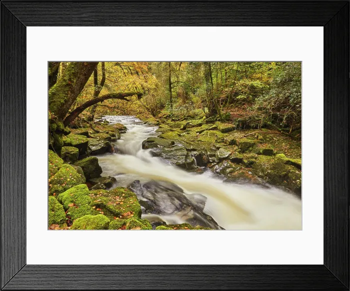 Framed Print : The River Erne flowing fast through autumnal ancient forest, Dartmoor National Park, near Ivybridge, Devon, England, United Kingdom, Europe